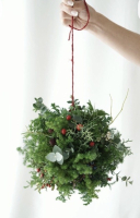 Une déco de Noël avec une patate !!